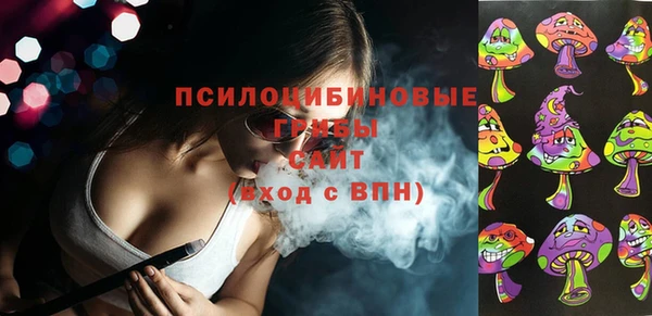 амф Алексин