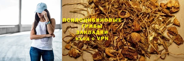 амф Алексин